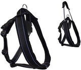 Patento Pet Padded With Collar & Harness Set For Dogs