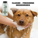 Wahl - Odor Control Clean Refresh Deodorize Eucalyptus Concentrate Shampoo