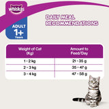 Whiskas Skin & Coat Adult Cat Dry Food