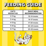 Temptations Mixups Tuna & Chicken Flavour Cat Treats