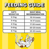 Temptations Mixups Chicken & Salmon Flavour Cat Treats