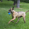 Kong Ultra Squeak Air Ball Toy For Dogs