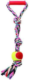 Trixie Playing Rope With Tennis Ball