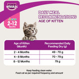 Whiskas Junior Mackerel Flavour Cat Dry Food