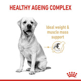 Royal Canin Labrador Retriever 5+ Year Adult Dog Dry Food