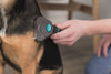 Trixie Carding Groomer
