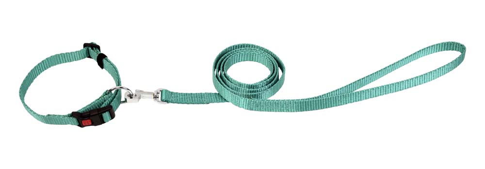 Kennel Soft Nylon Adjustable Click Lock Collar and Leash Set (W = 3/4")