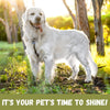 Petkin Milkbath Shampoo For Dog & Cats