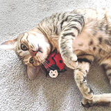 BecoPets Catnip Wand Toy Lottie - Lady Bird