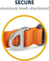 Ruffwear Front Range Collar (14x20 Inch)