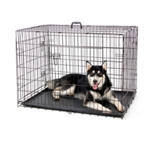 Speedy Pet Metal Carrier (91x61x67 CM)