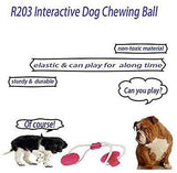 Petropolis Self-Playing Vaccum With Rubber Ball Rope Dog Toy