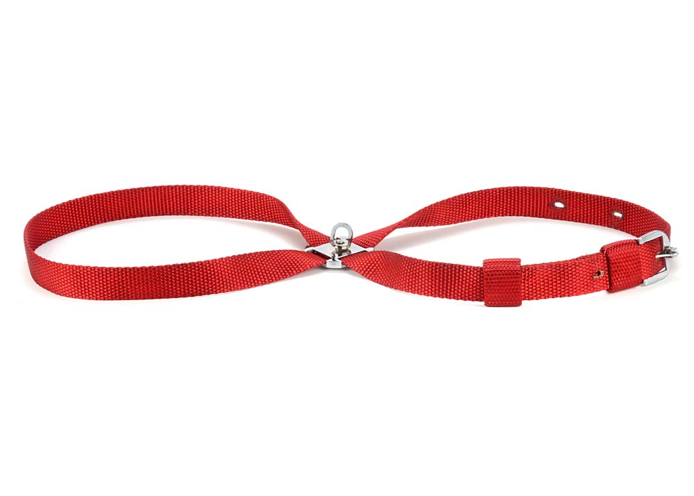 Kennel Nylon Adjustable Body (W = 1 1/4")