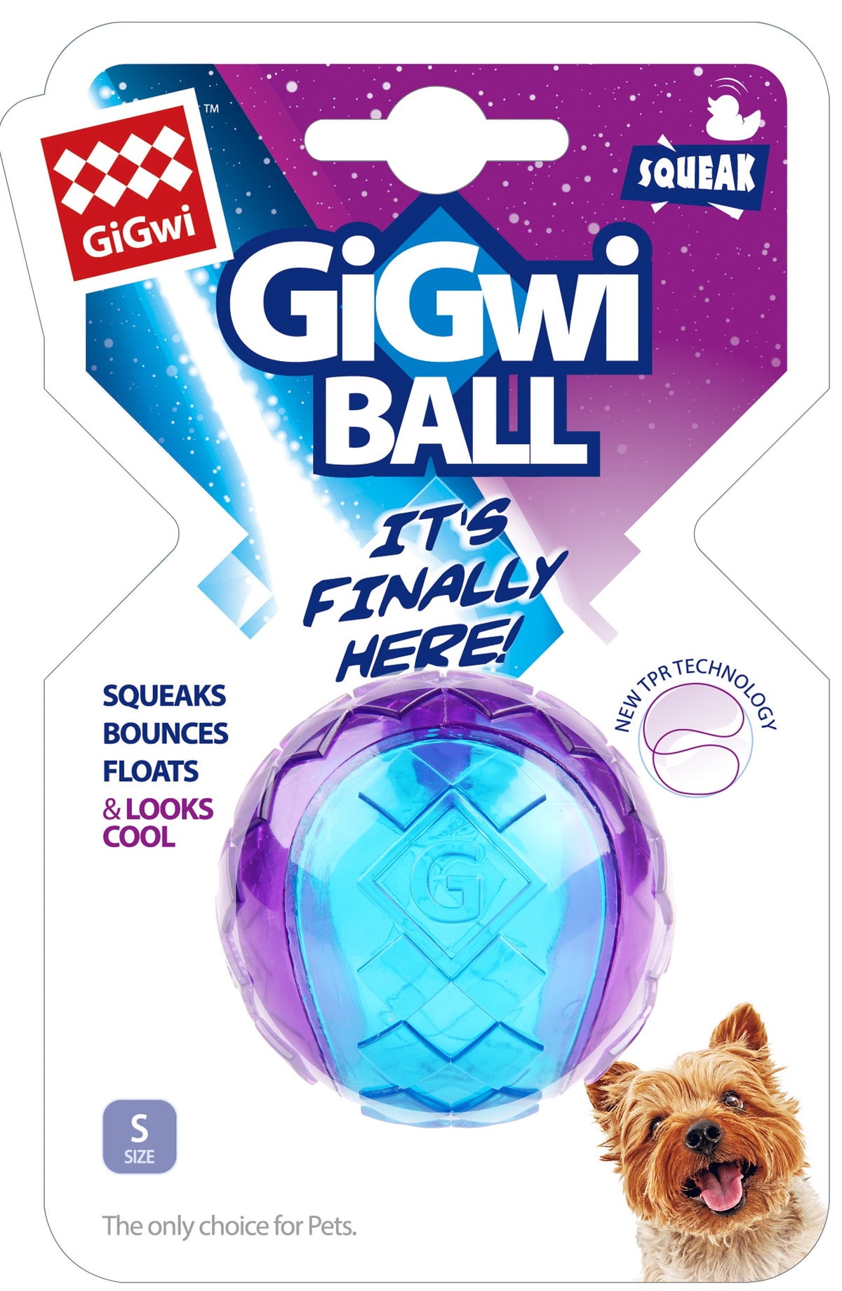 Gigwi Squeaker Transparent Ball - Blue/Purple
