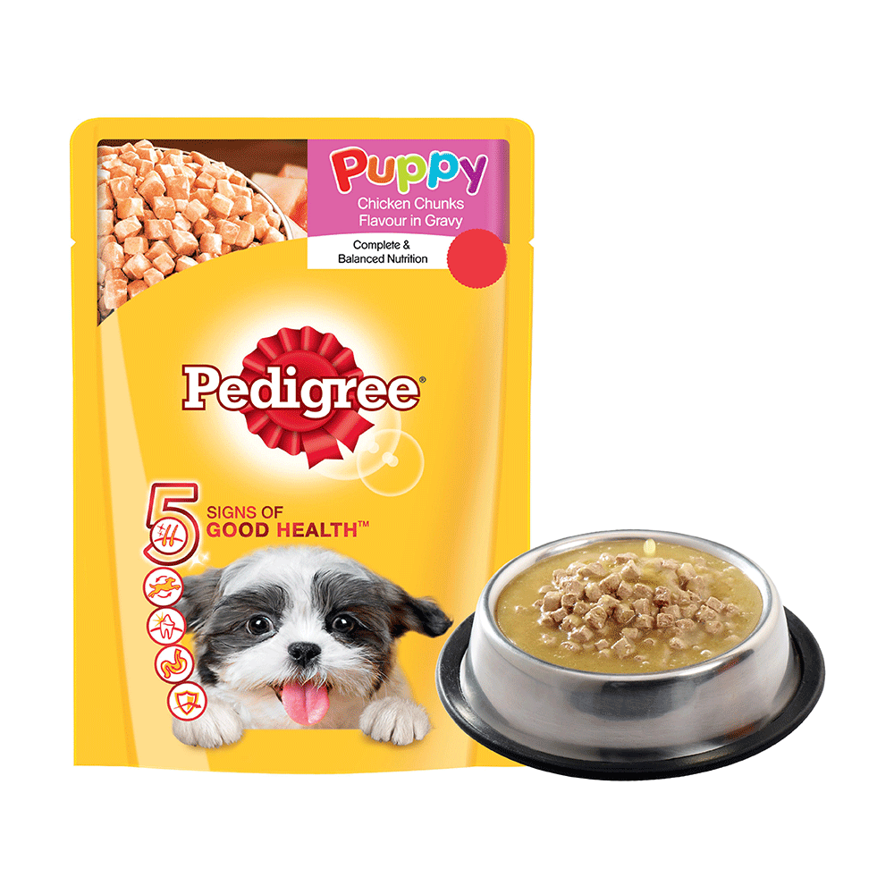 Pedigree puppy gravy pouch best sale