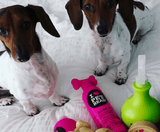 I Love Pet Head - Dry Clean Blueberry Muffin Spray Shampoo