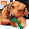 Nylabone Dental Plus Power Chew Help Reduce Plaque Tartar Bone - Chicken Flavor