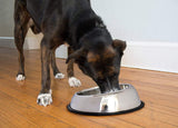 Pets Empire Stainless Steel High Back Bowl For Dogs