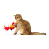 Fofos Parrot With Catnip Balls Cat Toy