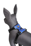 Kennel Full Body Harness (X Large - 34" Inch)