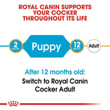 Royal Canin Cocker Spaniel Puppy Dry Food