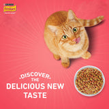 Purina Friskies Kitten Discoveries Dry Food