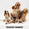 Petkin Milkbath Shampoo For Dog & Cats