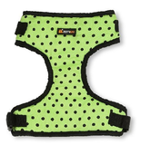 Petropolis Net Harness Set For Dog & Cat
