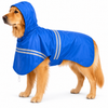 Canes Venatici New Raincoat (colors may vary)