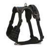 Whoof Whoof Double Padded Harness - Assorted Colors