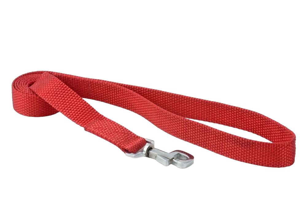 Kennel Premium Nylon Leash (1") (48")