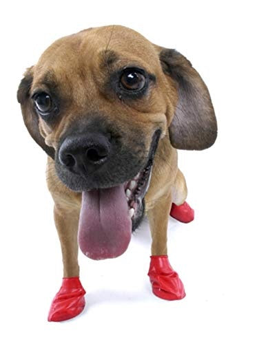 Pawz Waterproof Dog Boots - Small - Red