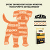 Acana Puppy Recipe Dry Dog Food