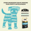 Acana Puppy Small Breed Recipe Dry Dog Food
