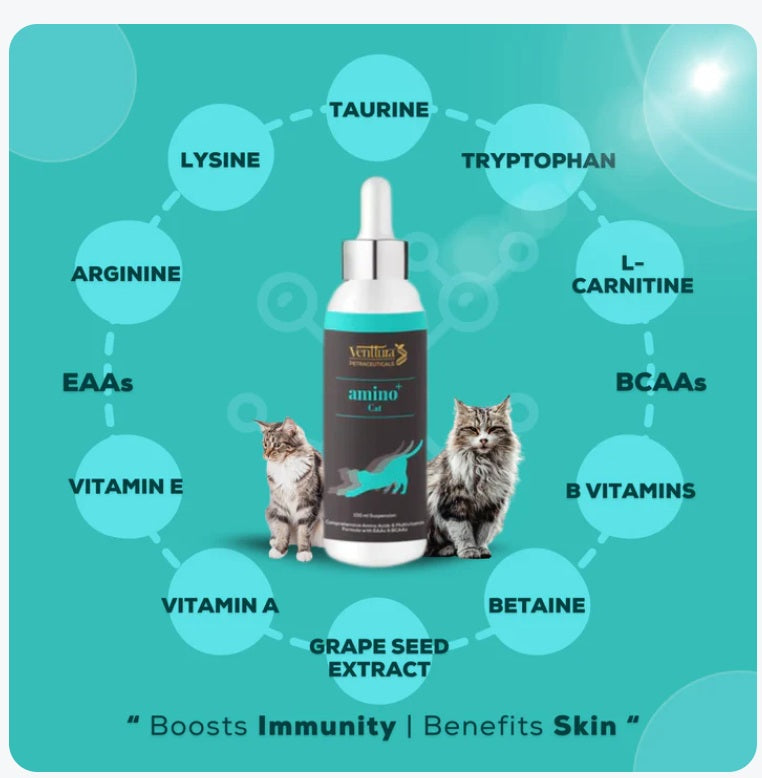 l carnitine liquid uses L-Carnitine