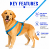 Kennel Soft Nylon 3 Way Click Lock Adjustable Harness (1")
