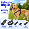 Kennel Premium All Over Reflective Padded Nylon Click Lock Adjustable Harness