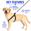 Kennel Premium All Over Reflective Padded Nylon Click Lock Adjustable Harness