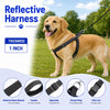 Kennel Premium All Over Reflective Padded Nylon Click Lock Adjustable Harness