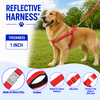 Kennel Premium All Over Reflective Padded Nylon M.S. CL Adjustable Harness