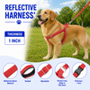 Kennel Premium All Over Reflective Padded Nylon M.S. CL Adjustable Harness
