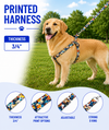 Adjustable Dog Harness – Kennel Printed Click-Lock
