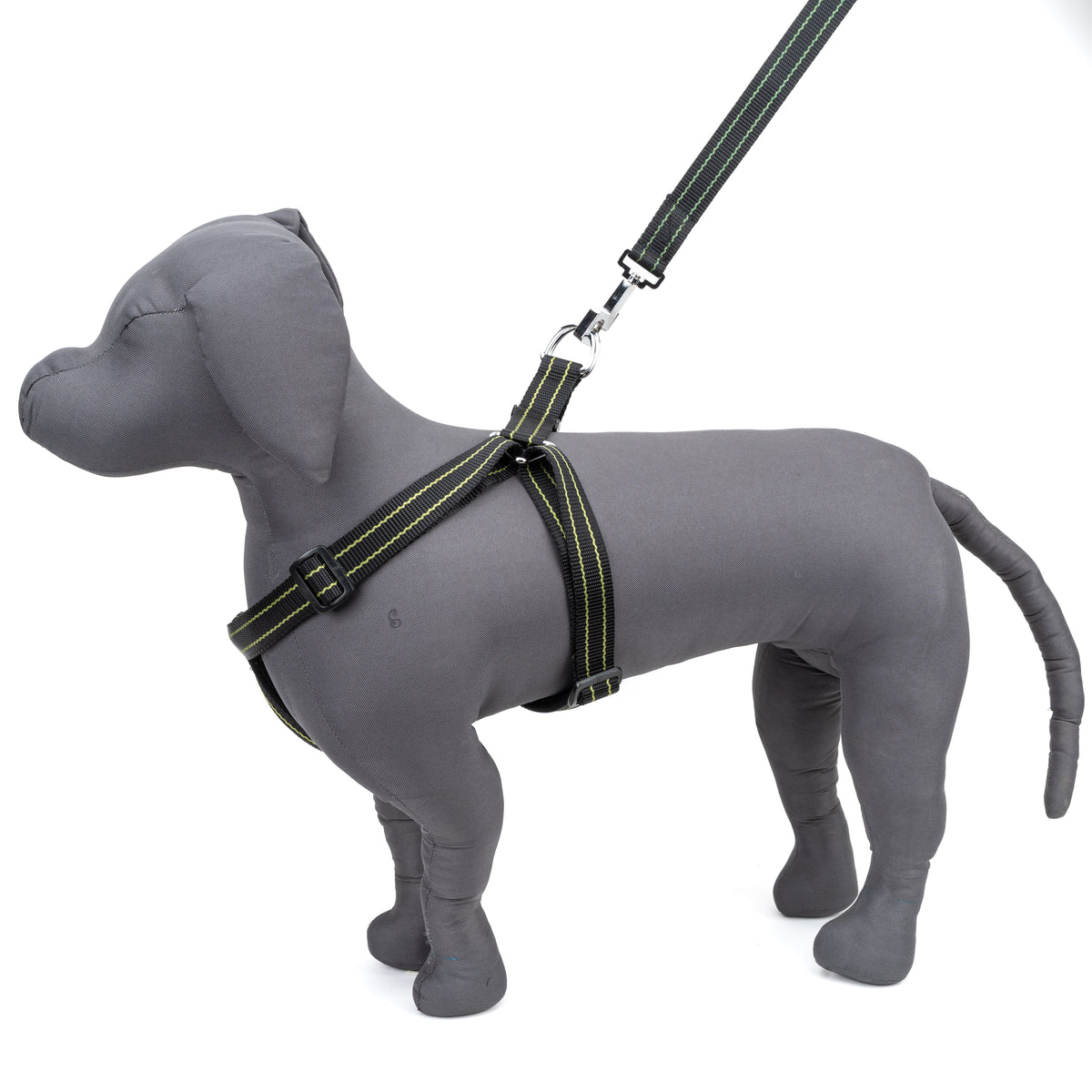 Kennel Padded Nylon Pattern Adjustable Harness (1 1/4")