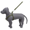 Kennel Padded Nylon Dotzy Adjustable Harness  (W = 1 Inch)