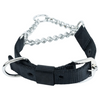 Kennel Soft Nylon Chain Martingale Collar