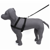 Kennel Nylon Body (1")