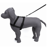 Nylon Dog Body Harness | Adjustable, Lightweight & Secure