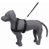 Kennel Premium Nylon Body (1 1/4