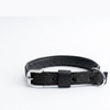 Kennel Foam Padded Nylon Collar
