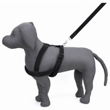 Kennel Padded Nylon Body (1 1/4